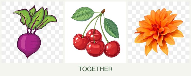 Can you plant beets, cherries and dahlias together?