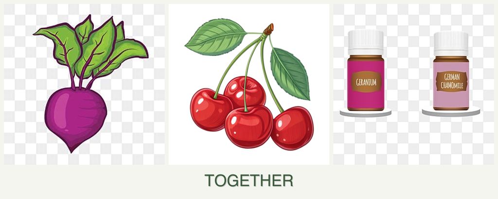 Can you plant beets, cherries and geraniums together?