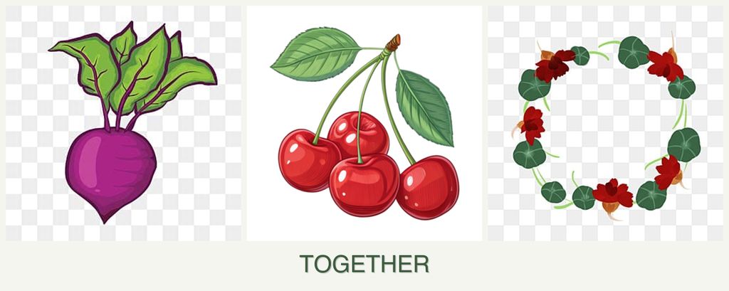 Can you plant beets, cherries and nasturtiums together?