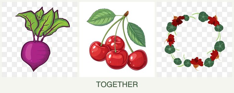 Can you plant beets, cherries and nasturtiums together?
