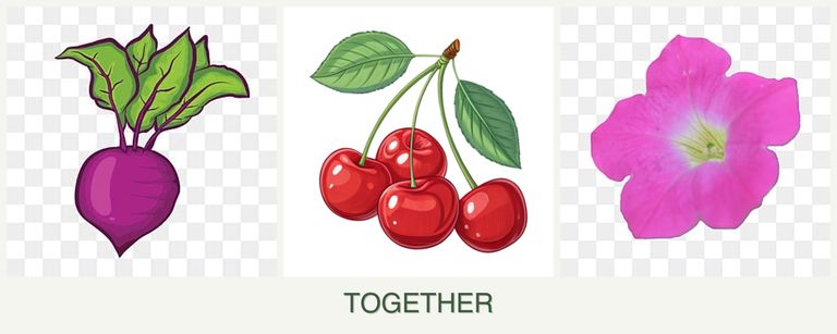 Can you plant beets, cherries and petunias together?