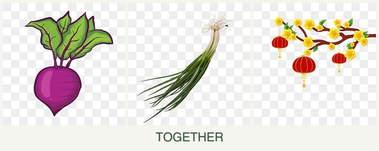 Can you plant beets, chives and apricots together?