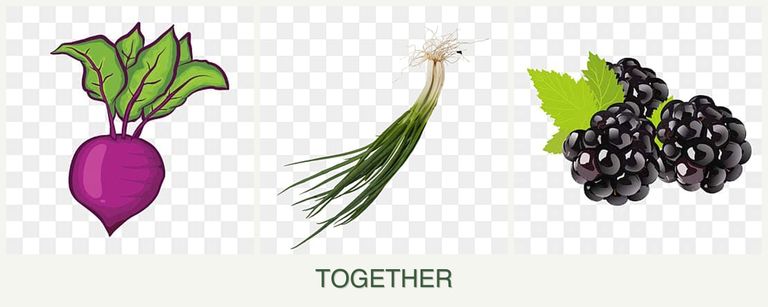 Can you plant beets, chives and blackberries together?