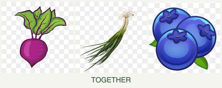 Can you plant beets, chives and blueberries together?