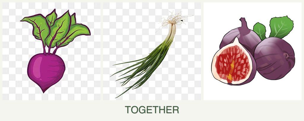 Can you plant beets, chives and figs together?