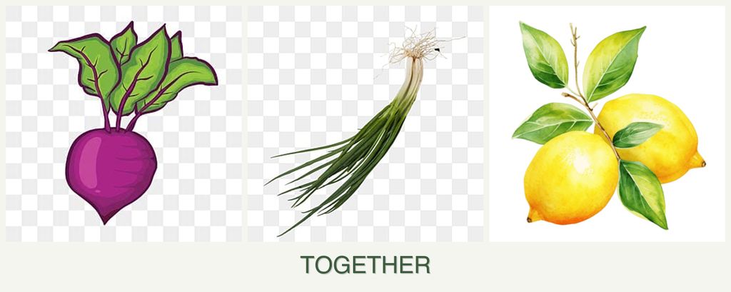 Can you plant beets, chives and lemons together?