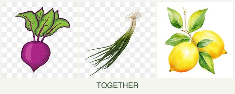 Can you plant beets, chives and lemons together?