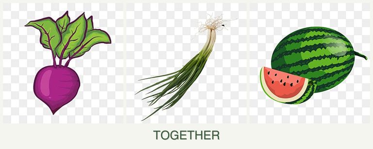 Can you plant beets, chives and melons together?