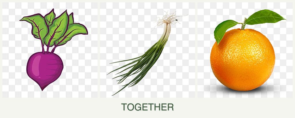 Can you plant beets, chives and oranges together?