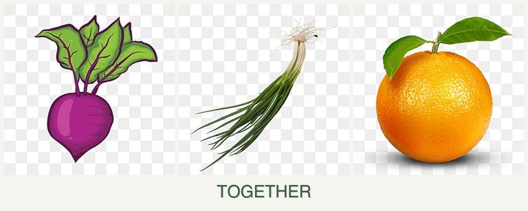 Can you plant beets, chives and oranges together?