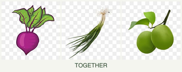 Can you plant beets, chives and plums together?