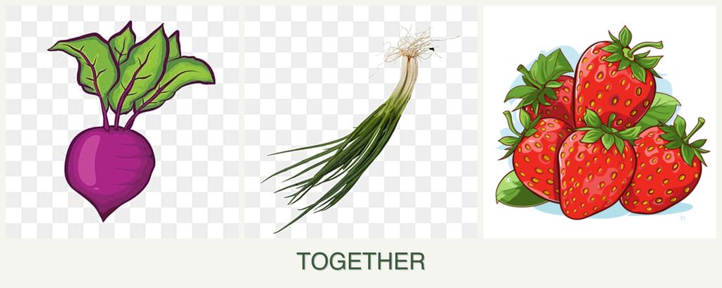 Can you plant beets, chives and strawberries together?