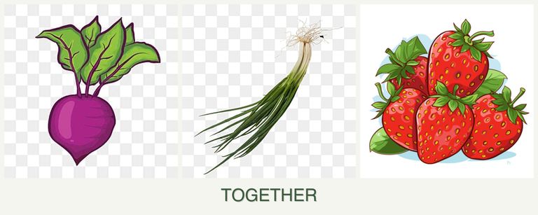 Can you plant beets, chives and strawberries together?