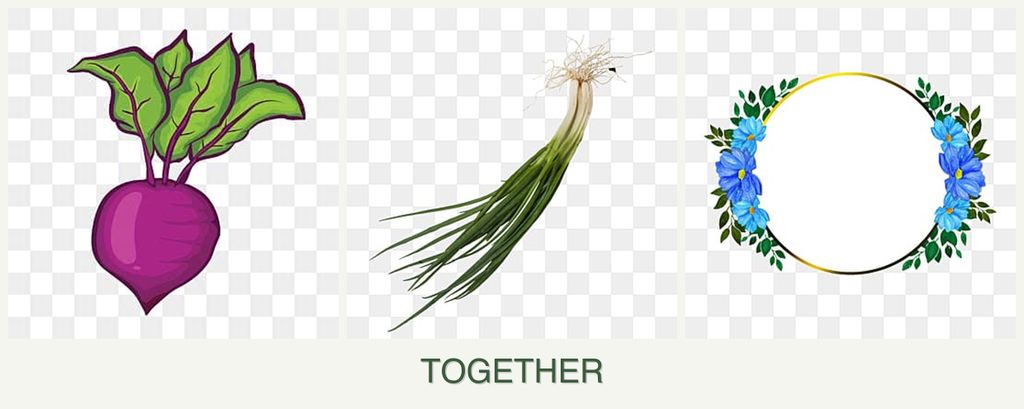 Can you plant beets, chives and zinnias together?