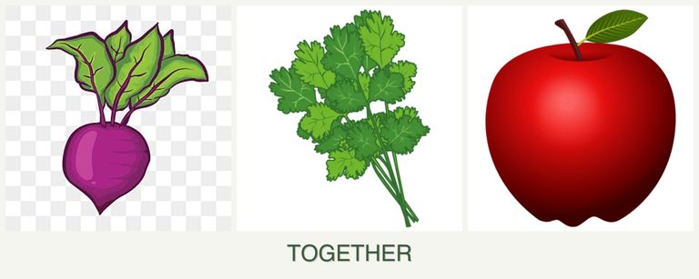 Can you plant beets, cilantro and apples together?