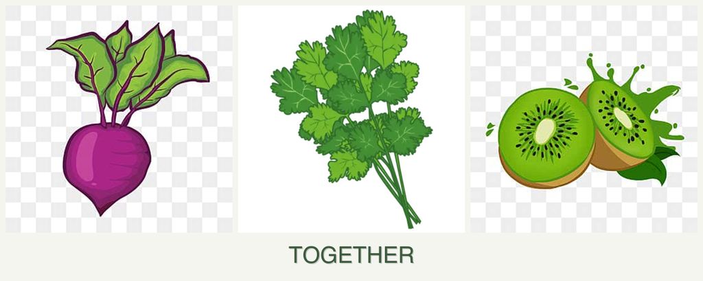 Can you plant beets, cilantro and kiwi together?