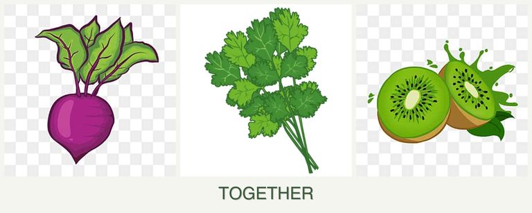 Can you plant beets, cilantro and kiwi together?