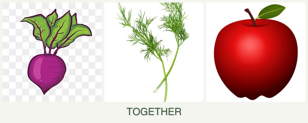 Can you plant beets, dill and apples together?