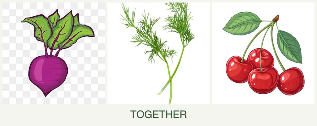 Can you plant beets, dill and cherries together?