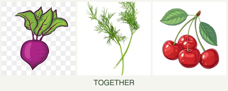 Can you plant beets, dill and cherries together?