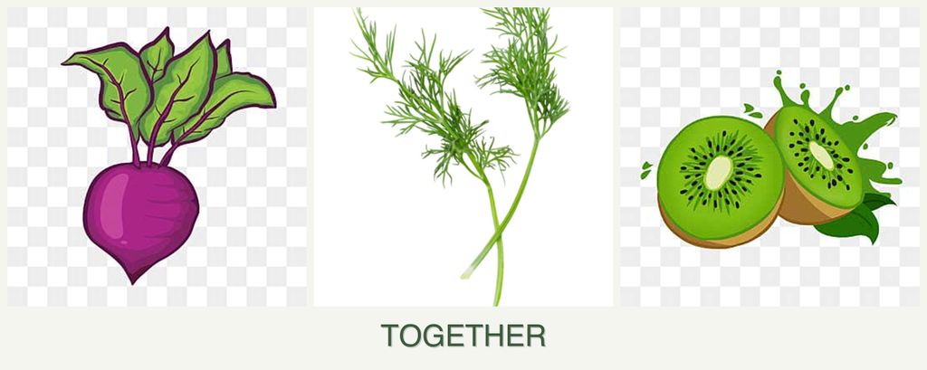 Can you plant beets, dill and kiwi together?