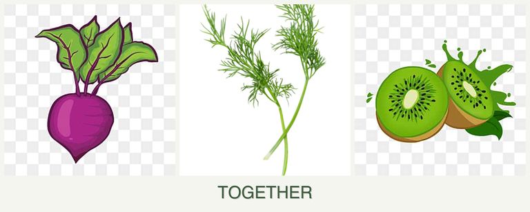 Can you plant beets, dill and kiwi together?