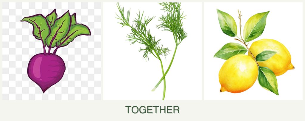Can you plant beets, dill and lemons together?