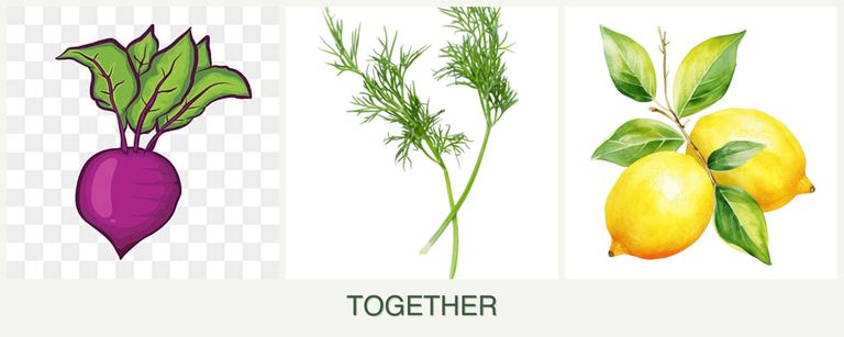Can you plant beets, dill and lemons together?