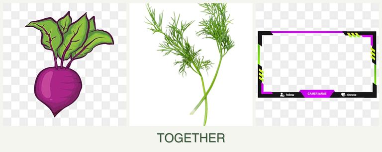 Can you plant beets, dill and limes together?