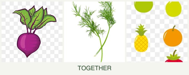 Can you plant beets, dill and pears together?