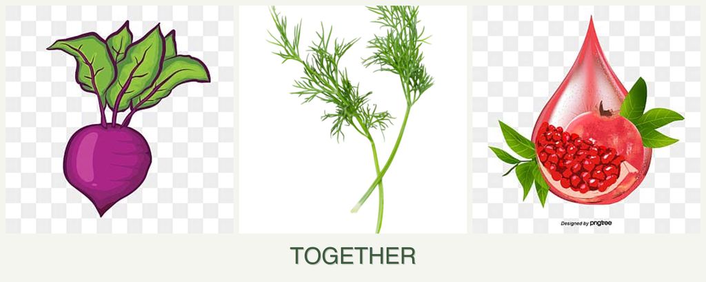 Can you plant beets, dill and pomegranates together?