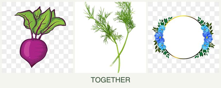 Can you plant beets, dill and zinnias together?