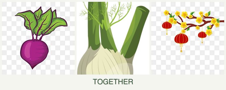 Can you plant beets, fennel and apricots together?