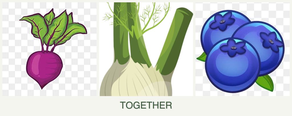Can you plant beets, fennel and blueberries together?