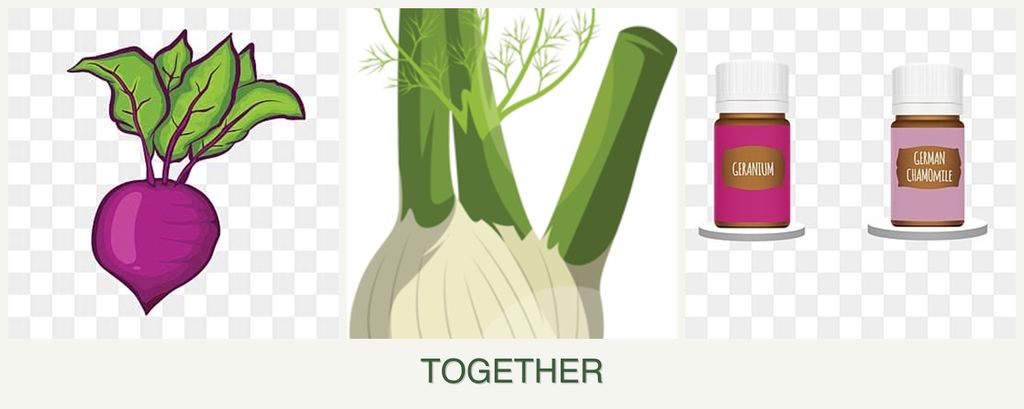 Can you plant beets, fennel and geraniums together?