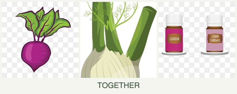 Can you plant beets, fennel and geraniums together?