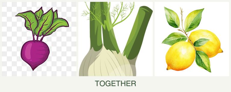 Can you plant beets, fennel and lemons together?