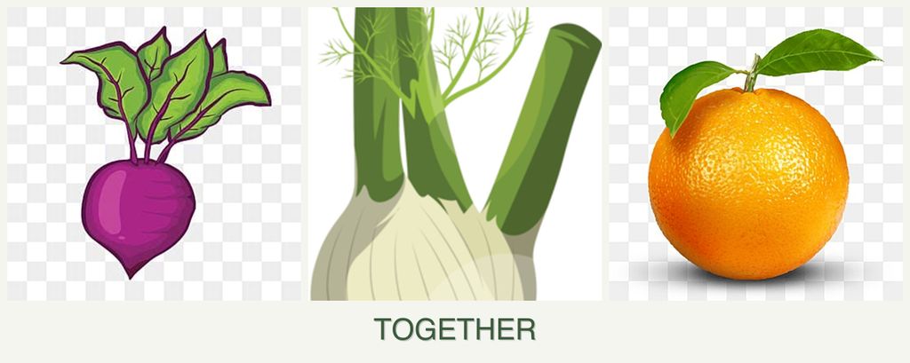 Can you plant beets, fennel and oranges together?
