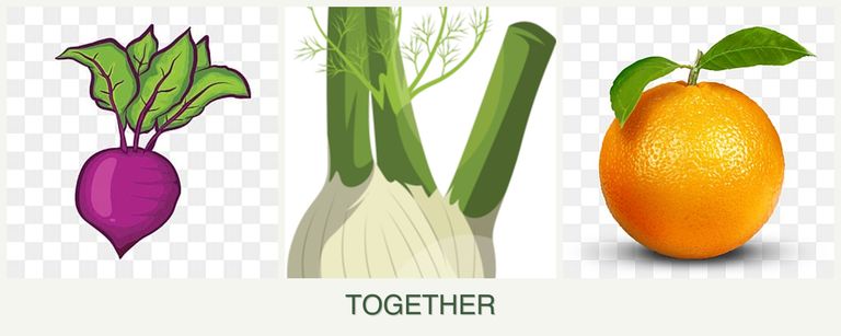 Can you plant beets, fennel and oranges together?