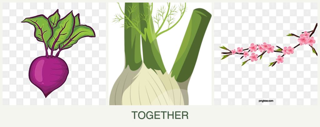 Can you plant beets, fennel and peaches together?