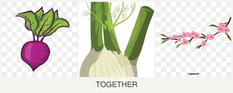 Can you plant beets, fennel and peaches together?