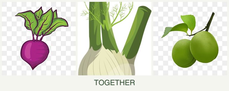 Can you plant beets, fennel and plums together?