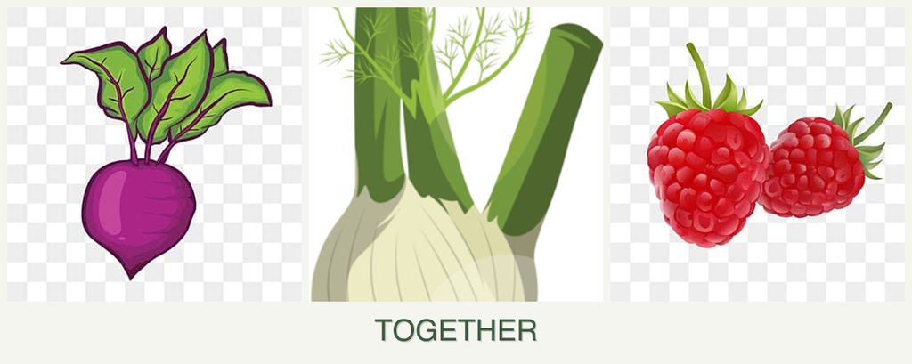 Can you plant beets, fennel and raspberries together?