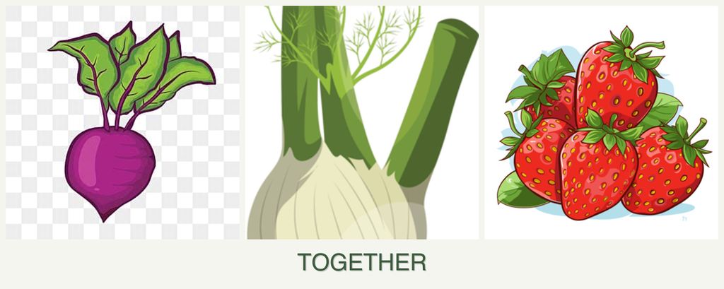 Can you plant beets, fennel and strawberries together?