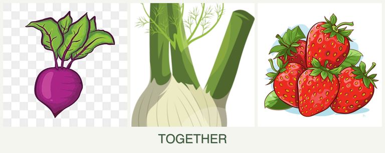 Can you plant beets, fennel and strawberries together?