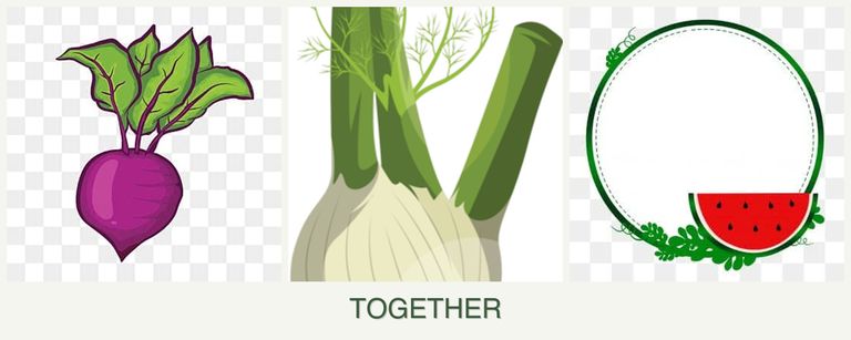 Can you plant beets, fennel and watermelons together?