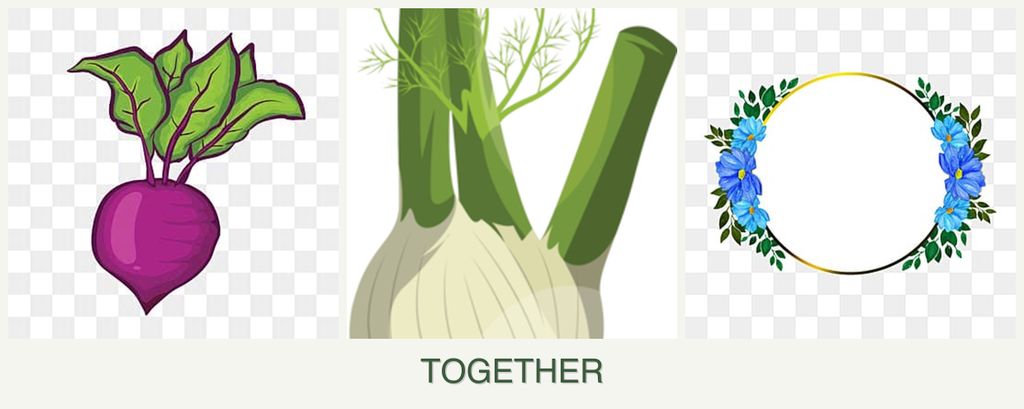 Can you plant beets, fennel and zinnias together?