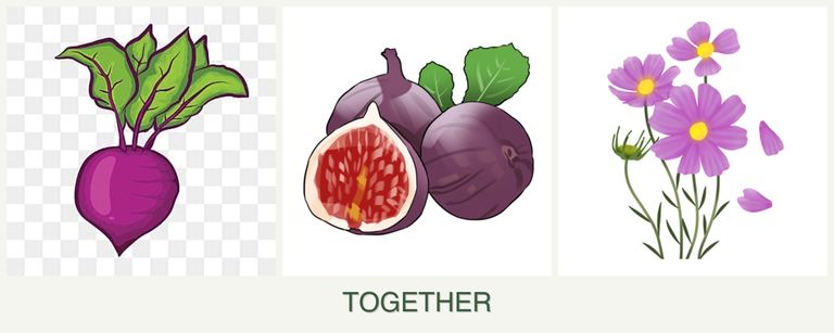 Can you plant beets, figs and cosmos together?