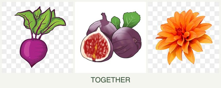 Can you plant beets, figs and dahlias together?