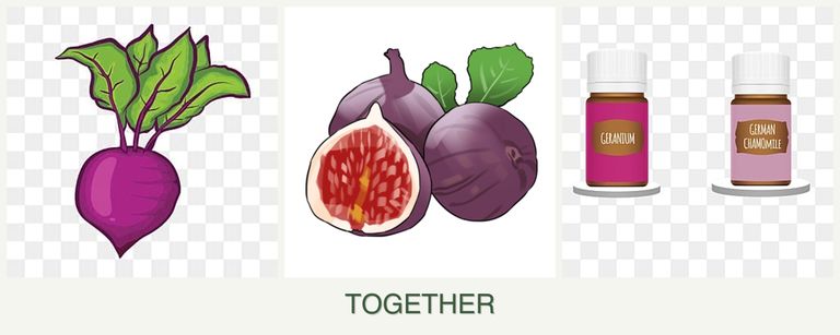 Can you plant beets, figs and geraniums together?